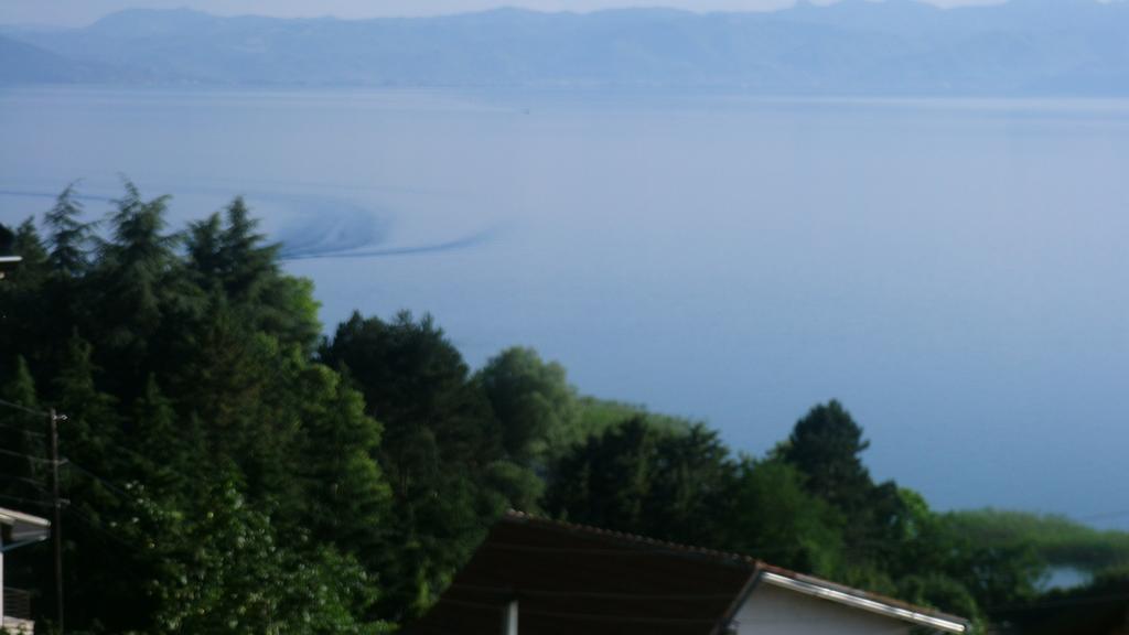 Villa Novak Ohrid Bagian luar foto